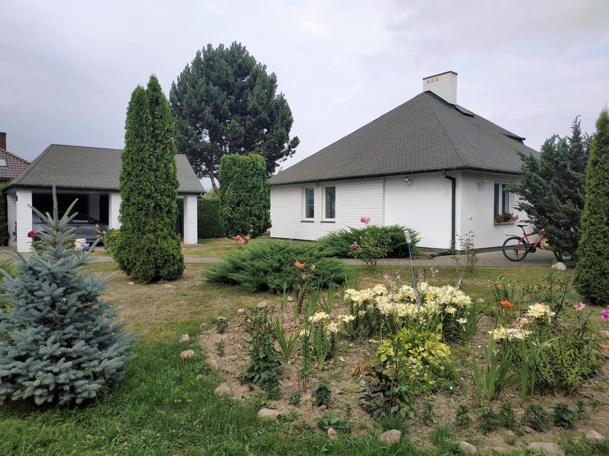 Dom Na Wynajem Na Doby Kolo Zamoscia Villa Exterior foto
